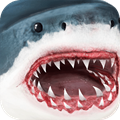 終極鯊魚模擬下載-終極鯊魚模擬無限金幣下載