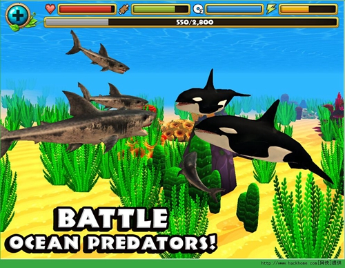 终极鲨鱼模拟无限升级技能3 