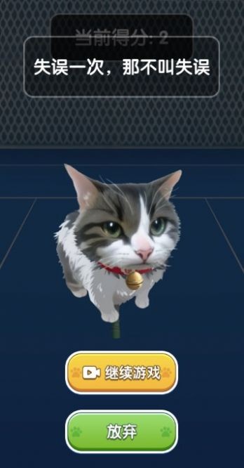 猫咪网球1 